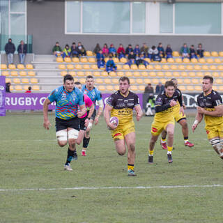 19/01/2019 - ERCC - J6 - Zebre 10 / 22 Stade Rochelais