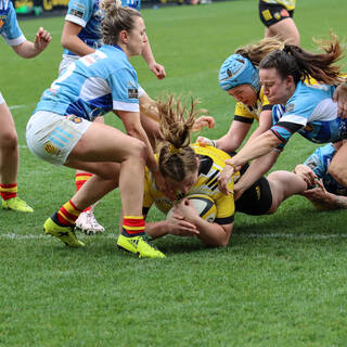 19/03/2023 - Élite 2 - Stade Rochelais 54 / 6 USAP