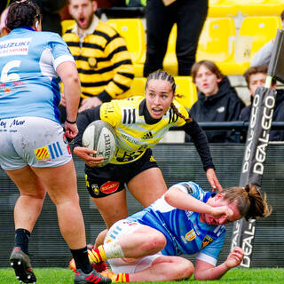 19/03/2023 - Élite 2 - Stade Rochelais 54 / 6 USAP