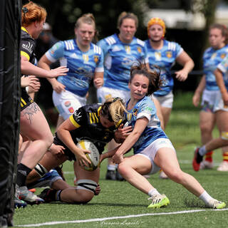 19/05/2024 - Elite 2 - Stade Rochelais 48 / 3 USAP