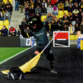 19/11/2023 - Top 14 - Stade Rochelais 25 / 21 UBB