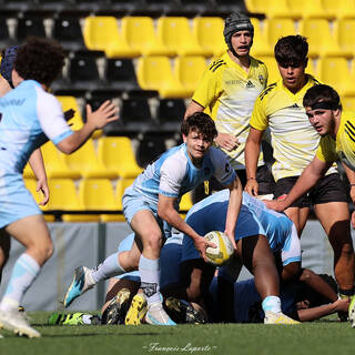 20/04/2024 - Crabos - Stade Rochelais 45 / 7 Massy