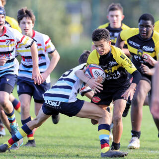 20/11/2021 - Cadets B - Stade Rochelais 76 / 6 Trélissac 