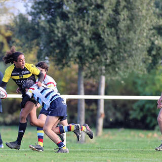 20/11/2021 - Cadets B - Stade Rochelais 76 / 6 Trélissac 