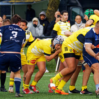 20/11/2021 - Espoirs - Stade Rochelais 31 / 20 Agen 