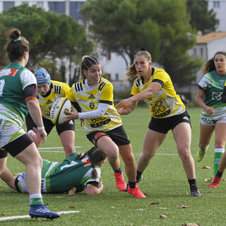 20/11/2022 - Élite 2 - Stade Rochelais 59 / 07 Clermont