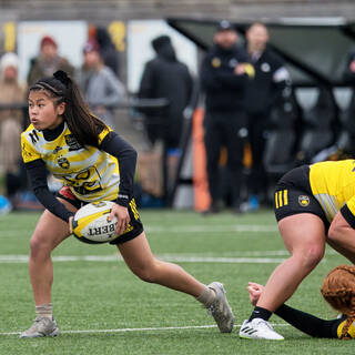 21/01/2024 - Elite 2 - Stade Rochelais 49 / 00 Coyotes 94