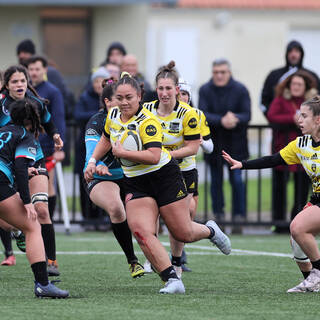 21/01/2024 - Elite 2 - Stade Rochelais 49 / 00 Coyotes 94