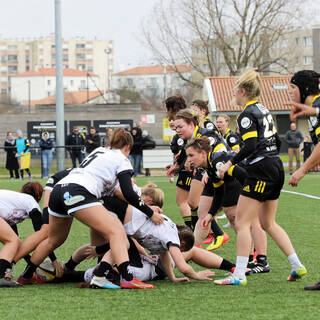 21/01/2024 - Federale 2 - Stade Rochelais 56 / 00 Floirac