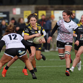 21/01/2024 - Federale 2 - Stade Rochelais 56 / 00 Floirac