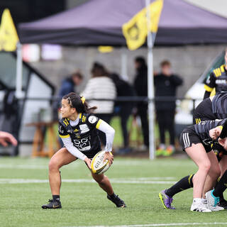 21/01/2024 - Federale 2 - Stade Rochelais 56 / 00 Floirac