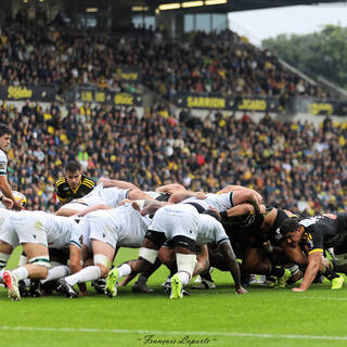 21/09/2024 - Top 14 - Stade Rochelais 49 / 25 Section Paloise