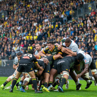 21/09/2024 - Top 14 - Stade Rochelais 49 / 25 Section Paloise