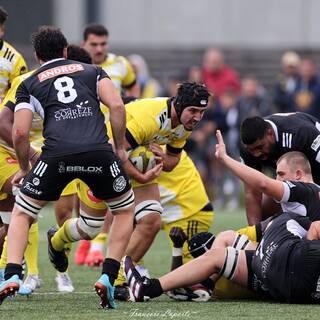 23/09/2024 - Espoirs - Stade Rochelais 32 / 6 Brive