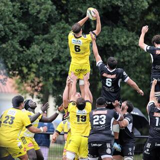 23/09/2024 - Espoirs - Stade Rochelais 32 / 6 Brive