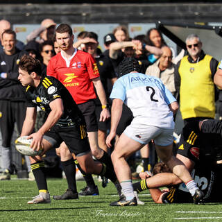 24/03/2024 - Espoirs - Stade Rochelais 41 / 23 Aviron Bayonnais