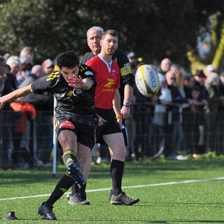 24/03/2024 - Espoirs - Stade Rochelais 41 / 23 Aviron Bayonnais