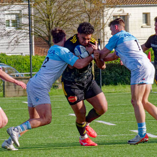 24/03/2024 - Espoirs - Stade Rochelais 41 / 23 Aviron Bayonnais