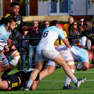 24/03/2024 - Espoirs - Stade Rochelais 41 / 23 Aviron Bayonnais