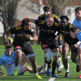 24/03/2024 - Espoirs - Stade Rochelais 41 / 23 Aviron Bayonnais