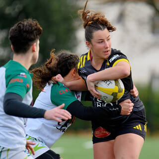 24/11/2024 - Élite 2 - Stade Rochelais 65 / 14 Clermont