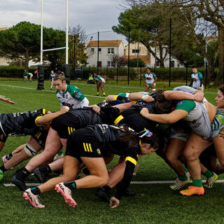 24/11/2024 - Élite 2 - Stade Rochelais 65 / 14 Clermont