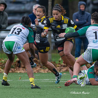 24/11/2024 - Élite 2 - Stade Rochelais 65 / 14 Clermont