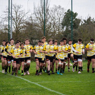 25/03/2023 - Cadets Alamercery - Stade Rochelais 49 / 14 Section Paloise