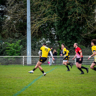 25/03/2023 - Cadets Alamercery - Stade Rochelais 49 / 14 Section Paloise