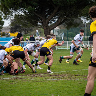 25/03/2023 - Cadets Alamercery - Stade Rochelais 49 / 14 Section Paloise