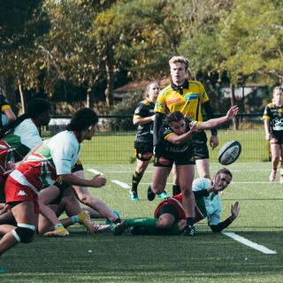 25/10/2023 - Federale 2 - Stade Rochelais 10 / 05 Pessac