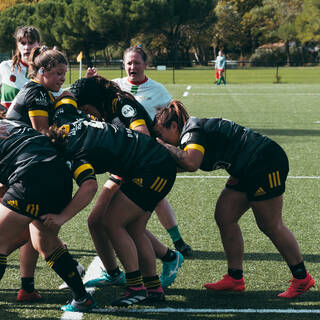 25/10/2023 - Federale 2 - Stade Rochelais 10 / 05 Pessac