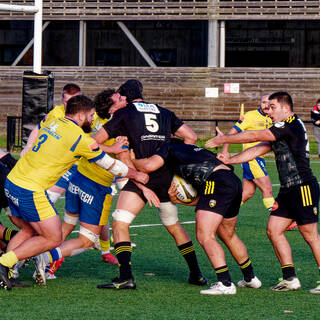 25/11/2023 - Espoirs - Stade Rochelais 29 / 24 Clermont