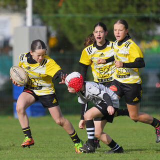 25/11/2023 - U15 Filles - Tournoi Challenge Plaine des Jeux Colette Besson