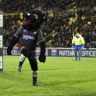 26/01/2019 - Top 14 - J15 - Stade Rochelais 27 / 25 Montpellier