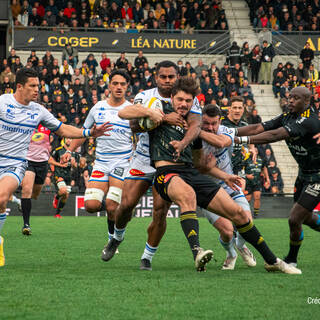 26/11/2022 - Top 14 - Stade Rochelais 53 / 07 Castres Olympique