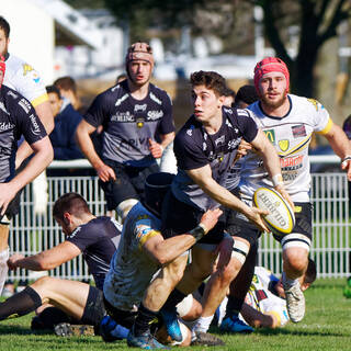 27/01/2018 - Espoirs - Stade Rochelais 50 / 3 Carcassonne