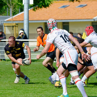 27/04/2019 - Crabos - Stade Rochelais 50 / 00 Biarritz