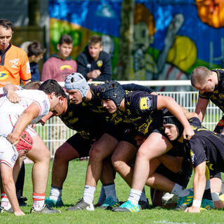 27/04/2019 - Crabos - Stade Rochelais 50 / 00 Biarritz