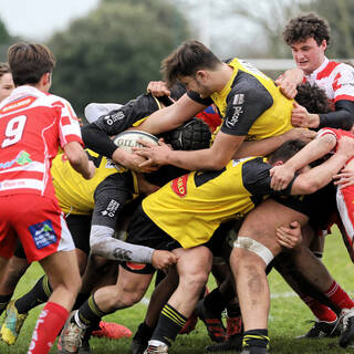 29/01/2022 - Cadets Alamercery - Stade Rochelais 30 / 13 Tarbes