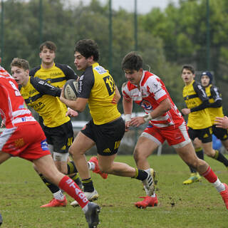 29/01/2022 - Cadets Alamercery - Stade Rochelais 30 / 13 Tarbes