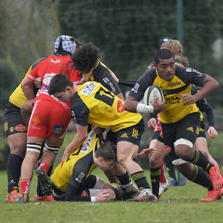 29/01/2022 - Cadets Alamercery - Stade Rochelais 30 / 13 Tarbes