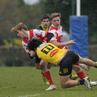 29/01/2022 - Cadets Alamercery - Stade Rochelais 30 / 13 Tarbes