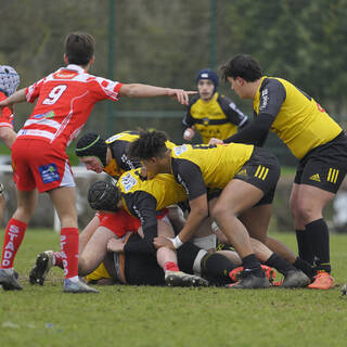 29/01/2022 - Cadets Alamercery - Stade Rochelais 30 / 13 Tarbes