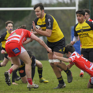 29/01/2022 - Cadets Alamercery - Stade Rochelais 30 / 13 Tarbes