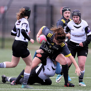 29/01/2022 - U18 Filles X - Stade Rochelais 70 / 5 Ovalie Vienne 86