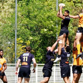 29/04/2017 - Espoirs - Stade Rochelais 52 - 15