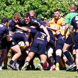 29/04/2017 - Espoirs - Stade Rochelais 52 - 15