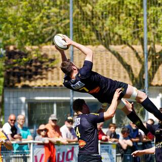 29/04/2017 - Espoirs - Stade Rochelais 52 - 15