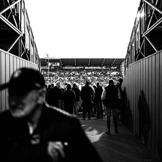 29/10/2023 - Top 14 - Stade Rochelais 24 / 27 Castres Olympique